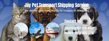 While we are based in texas our pet transport service provides pet moving and relocation services across the usa. Jay Pet Transport Shipping Service Home Facebook