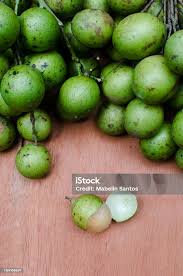 Image result for Melicoccus