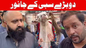 Islamia College Karachi