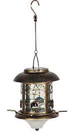 Watching hummingbirds is a delightful way to pass the time, and it's enjoyable for all ages. Solar Powered Bird Feeder