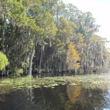 20 homes for sale in lake bryan, southwest orange, fl priced from $149,900 to $315,000. Lake Bryan Lake Details Orange Wateratlas Org
