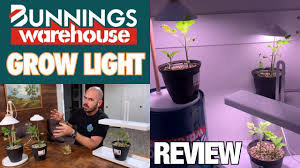 Check spelling or type a new query. Bunnings Grow Light Review Youtube