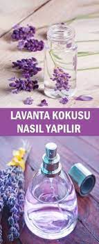 faydali bilgiler panosundaki pin