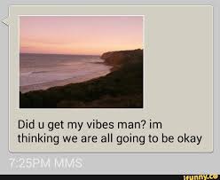 Did U Get My Vibes Man Im Thinking We Are All Going To Be Okay Ifunny My Vibe Vibes Aesthetic