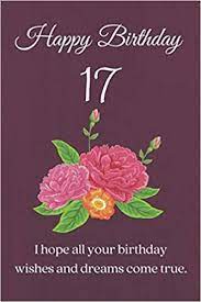 I hope you have all the appropriate platforms to use it rationally. Happy Birthday 17 I Hope All Your Birthday Wishes And Dreams 17 Year Old Girl Gift Ideas 17 Year Old Boy Gift Ideas Gifts For 17 Year Old Girl Gift 17