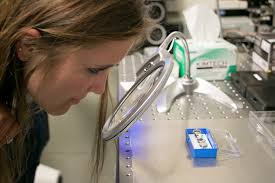 Summer projects in motion