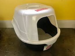 Best Cat Litter Boxes In 2021