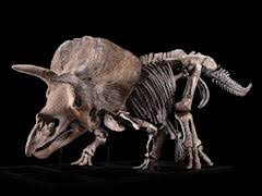 Freising: Dinosaurier zum Anfassen