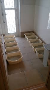 猫と暮らす家の工夫 トイレの巻 naominblog 家 猫 トイレ 猫 家