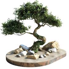 Bonsai Mini