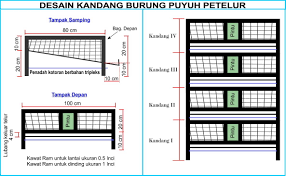 Model kandang burung puyuh petelur. Ukuran Kandang Burung Puyuh Petelur Kandang