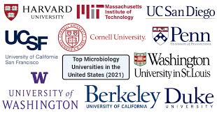 Top 10 Microbiology Universities in the United States (2021)