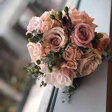 Flowers grow on hollow stalks that can range from 2 to 24 inches tall. Flowers By The Sea York Maine Facebook