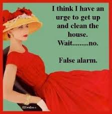 House Cleaning Meme Funny Vintage Humor Retro Humor Funny Quotes