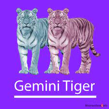 Gemini Tiger Personality Traits Flaws Career Love In 2021 Gemini Tiger Love Year Of The Tiger