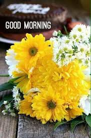 We are share with you best and amazing collection of good morning images with beautiful flowers , greetings & wallpapers to share with your family members, relatives, friends and loving ones on facebook, whatsapp etc. Pin By Walterandmargaret On Good Morning Good Morning Flowers Beautiful Flowers Beautiful Flower Arrangements