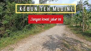 Maybe you would like to learn more about one of these? Kebun Teh Medini Promasan Medinipromasan Youtube