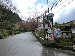 Search for text in url. 2019è‰åªå¤´æ¨±èŠ±å­£ è‰åªå¤´çŽ‰å±±è§‚å…‰èŒ¶å›­