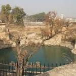What Katas Temple case?