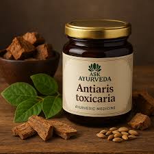 Image result for Antiaris