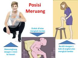 11 cara merawat bunga ini perlu untuk diketahui bagi setiap orang yang memiliki tanaman bunga sebagai hiasan ditempatnya. Blog Safeni Feni Tips Mendapatkan Rahim Yang Sihat Untuk Wanita