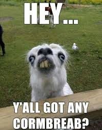 Hey There Friend Funny Meme Pictures Funny Camping Memes Funny Animals