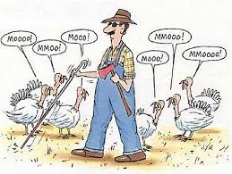 Apr 26, 2021 · recipe: 20 Funny Turkey Day Pictures Cartoons And Memes