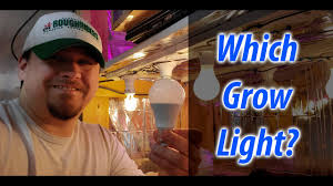 Maybe you would like to learn more about one of these? Top 8 Best Cfl Grow Lights Buying Guidelines Review My Garden Plant