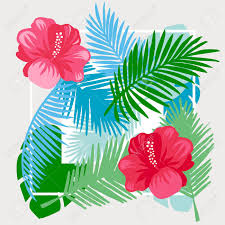 We did not find results for: Tropical Floral Vector Background Summer Design Exotic Tropical Flowers Royalty Free Cliparts Vectors And Stock Illustration Image 67376543