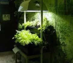 High intensity discharge grow lights have been one of the most popular forms of grow light over the last number of years. Hid Grow Light Systems For Hydroponic Gardens
