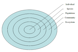 relationships among organisms sas