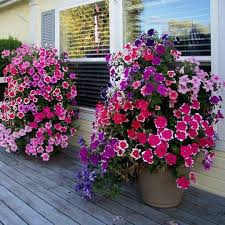 Pin On Home Design Ideas