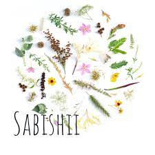Sabishii (podcast) - Sabishii | Listen Notes