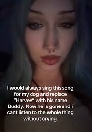 Emotional Tribute to a Beloved Pet