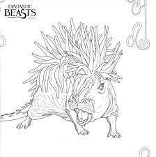 Fantastic beasts and where to find them was a book written by newt scamander detailing the field of magizoology, the study of magical creatures. Fantastic Beasts And Where To Find Them Coloring Pages