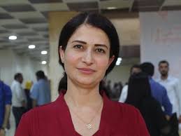 Turkey-backed rebels accused of killing Kurdish politician