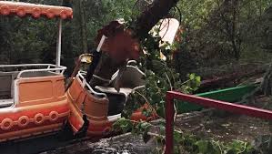 Maybe you would like to learn more about one of these? Thomas Frank Parkerlebnis De Freizeitpark Magazin