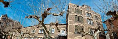 We did not find results for: Das Infoburo Im Hof Ist Die Zentrale Anlaufstelle Der Alten Feuerwache Koln