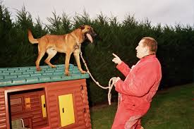 Maybe you would like to learn more about one of these? Maitre Chien Onisep