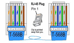 Cut the outer jacket of the wire about 1.5″ to 2″ from the end. Things You Have To Know About Rj45 Qc22