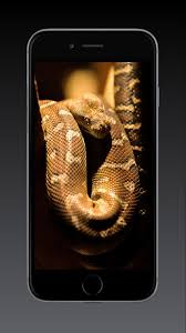 Find the best cool snake wallpapers on getwallpapers. Snake Wallpaper Hd Gif For Android Apk Download