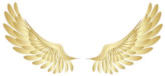 Let it be fairy wings, demon wings, butterfly wings or wings of some bird; Angel Golden Wings Png Novocom Top
