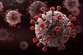 The personal information provided by you will be securely stored and made available only to appropriately authorised officers of the department of health or hospital and health services. Urgent Contact Tracing After Queensland Flight Worker Covid 19 Infection 4bc