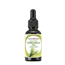 Set the jar down and leave it for three days. Citronella Oil