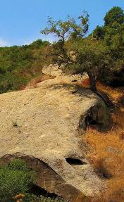 A Hiking Fool Aliso And Wood Canyons A Hike In 3 Acts Hiking Canyon Country Roads