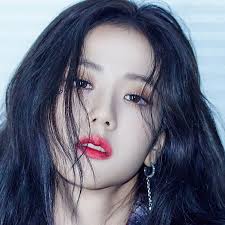 Why do I feel like LISA and Jisoo are closer than Channie?