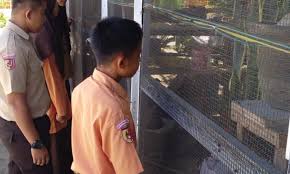 We did not find results for: Sman 2 Padang Pariaman Miliki Kebun Binatang Mini Salam Papua