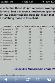 A Cube Is A Cube Right Or Wrong Mushroom Cultivation