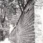 Profile Picture of Illustrator draws Massie Heritage walls to raise restoration funds (@savannahnow.com) on Google