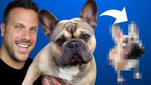 Animal Sculptures By Artist Lee Sangsoo #Shorts #Sculpture